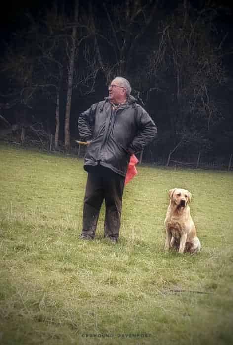 Fully trained lab dog. Ready for the upcoming season! Great dog!