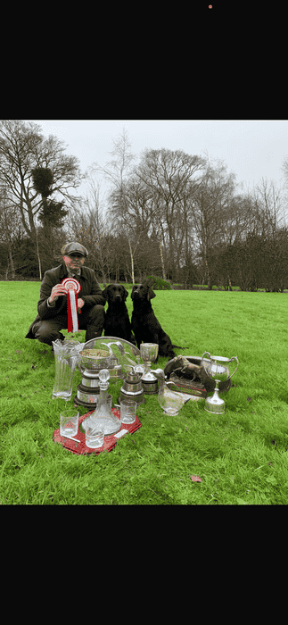 Fully Health tested Irish championship winning lines lab pups
